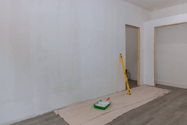 Best Fire-Damaged Drywall Repair  in Clarinda, IA