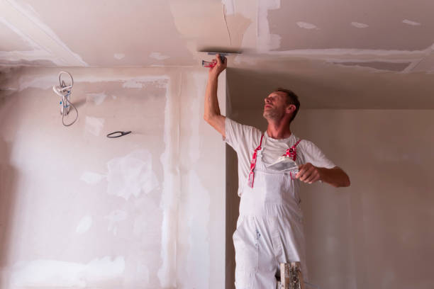 Best Ceiling Drywall Installation  in Clarinda, IA